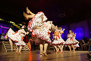 Showteil der Prinzengarde (©Foto: Martin Schmitz)